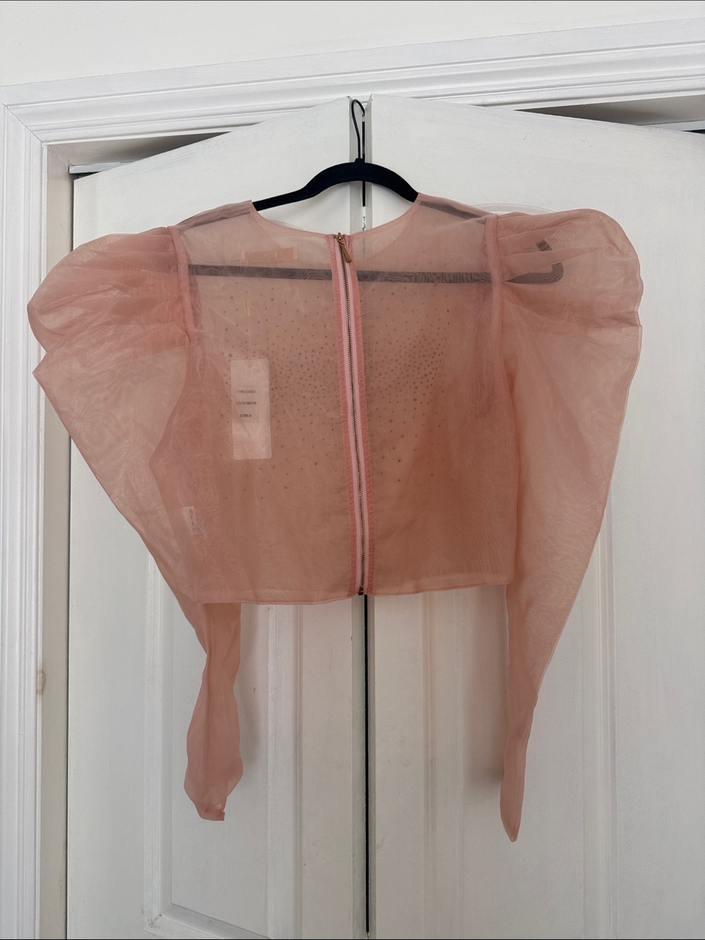 Puff-Sleeve Sheer Crop Blouse in Dusty Rose with Embellished Front - Picture 3 of 5
